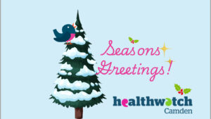 A snow covered pine tree and singing robin. Seasons Greetings1