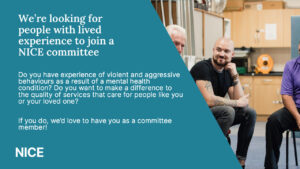 Nice Lived Eperience Advert