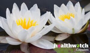 Bengali Women with Diabetes report now published